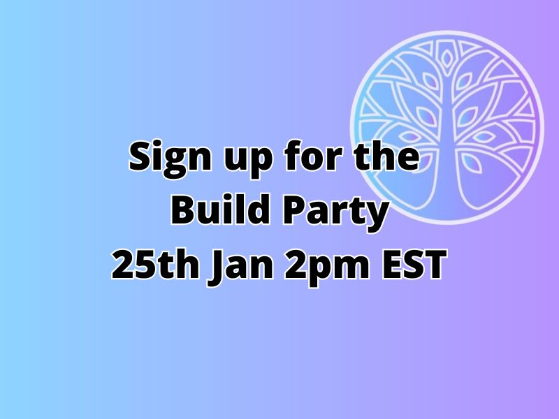 Build Party Jan 2025